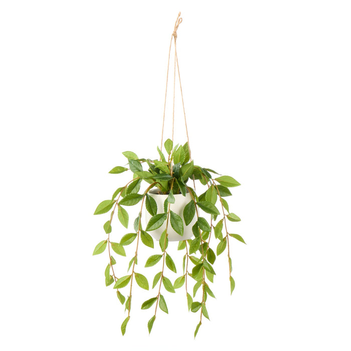 NSIMG-SHA256:f07be57234bdaf56ec306ba2e5e406c3002a0daf721c1d63b57be8f193ce4b04 · Isalbi Rogue Lush Leaf Hanging Pot Green