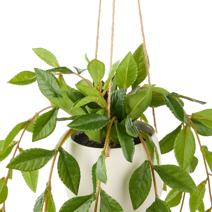 NSIMG-SHA256:63e60fcfc8afbfdec189e2564e8a57ead3283495c151f703f813cca4ff0d4ed0 · Isalbi Rogue Lush Leaf Hanging Pot Green