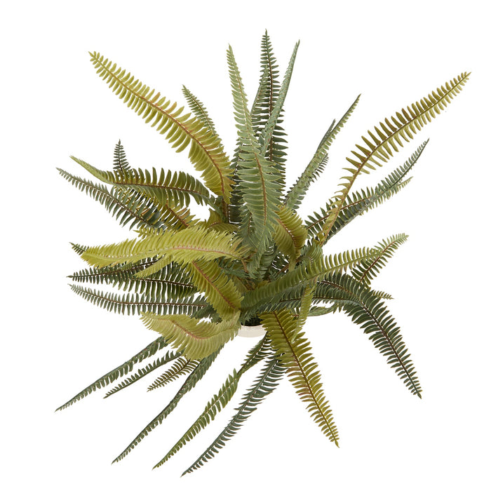 NSIMG-SHA256:b6f7be1321ced3ae648669aa90dd993f518630eef694a2c105ae9de8a22dd834 · Isalbi Rogue Boston Fern Pot Green