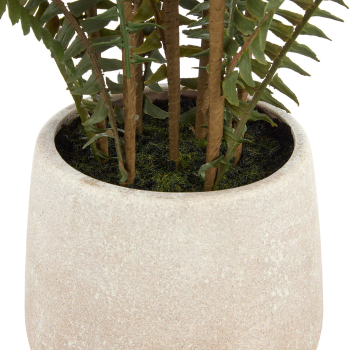 NSIMG-SHA256:b17d5ef4bc705dccb4bba741c33cc213ee45a46e6bff4f9dd25aa2e1f50da309 · Isalbi Rogue Boston Fern Pot Green