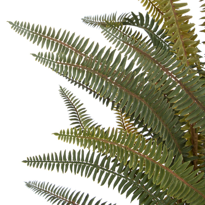 NSIMG-SHA256:b4642fbc7c52469c4752cc872717ef1b6ab653e0183f74ce665ac107ec3d877a · Isalbi Rogue Boston Fern Pot Green