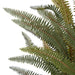 NSIMG-SHA256:b4642fbc7c52469c4752cc872717ef1b6ab653e0183f74ce665ac107ec3d877a · Isalbi Rogue Boston Fern Pot Green