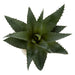 NSIMG-SHA256:5af8b5964e173bd3684b60a4cba98e0a21ed6561b51c0acecb9ce1e048cf33ad · Isalbi Rogue Aloe Pot Green