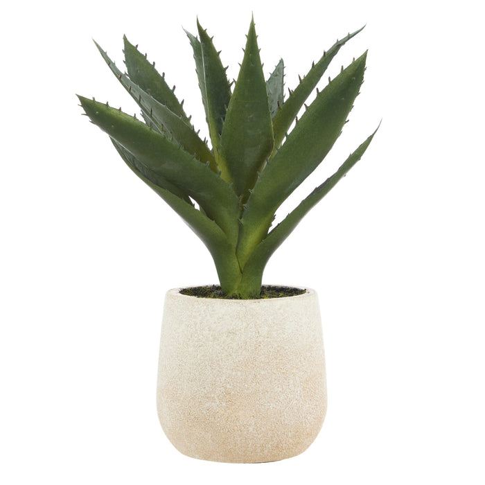 NSIMG-SHA256:2453b4a24257db82f5af6e630724bb50eae725e938d31862f780730e45fd89cb · Isalbi Rogue Aloe Pot Green