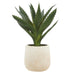 NSIMG-SHA256:2453b4a24257db82f5af6e630724bb50eae725e938d31862f780730e45fd89cb · Isalbi Rogue Aloe Pot Green