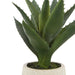 NSIMG-SHA256:10c260ecb5b70f72965dfbf00db4dc869bae483fca982cf1b5feddabce0d1278 · Isalbi Rogue Aloe Pot Green