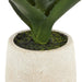 NSIMG-SHA256:2cb7cf0ef30b638c0e22ea4892c3a2780bc0999439414447820bc76123c12d93 · Isalbi Rogue Aloe Pot Green