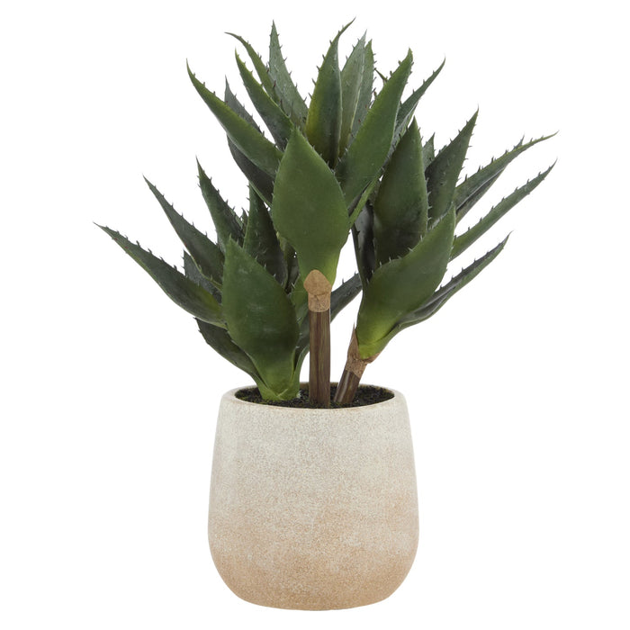 NSIMG-SHA256:fad2d05ca805f31446b647499d5679e69c7966642f8ed7cf37fcf8087bdcf14f · Isalbi Rogue Aloe 3 Heads Pot Green