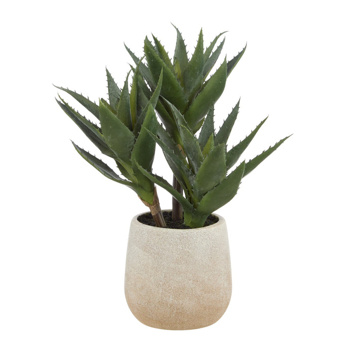 NSIMG-SHA256:8568e84c6279a59d40c5ec9a614629bf2da4fd63dbb1d97039137312364866ed · Isalbi Rogue Aloe 3 Heads Pot Green