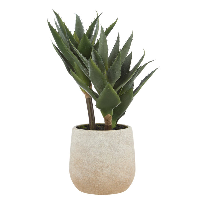 NSIMG-SHA256:2edce3457b01e1e6f132594a3c9ba1ad4ad1ca6b2dbf2f19b9c7dd0c2a98741b · Isalbi Rogue Aloe 3 Heads Pot Green