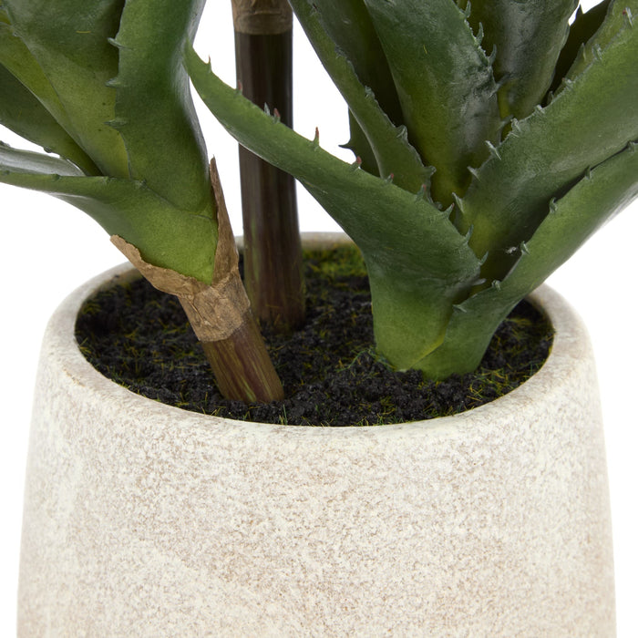 NSIMG-SHA256:3374a12a88631fb9ee3a5ecb26c141b2ab51ba15d0bba1bf7bd2558d37b303e3 · Isalbi Rogue Aloe 3 Heads Pot Green