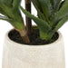 NSIMG-SHA256:3374a12a88631fb9ee3a5ecb26c141b2ab51ba15d0bba1bf7bd2558d37b303e3 · Isalbi Rogue Aloe 3 Heads Pot Green