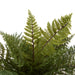 NSIMG-SHA256:ab662582bf6f80b500647bd6db4074aa52868f56401f6dac67e59b0d7cda6040 · Isalbi Rogue Leatherleaf Fern Green