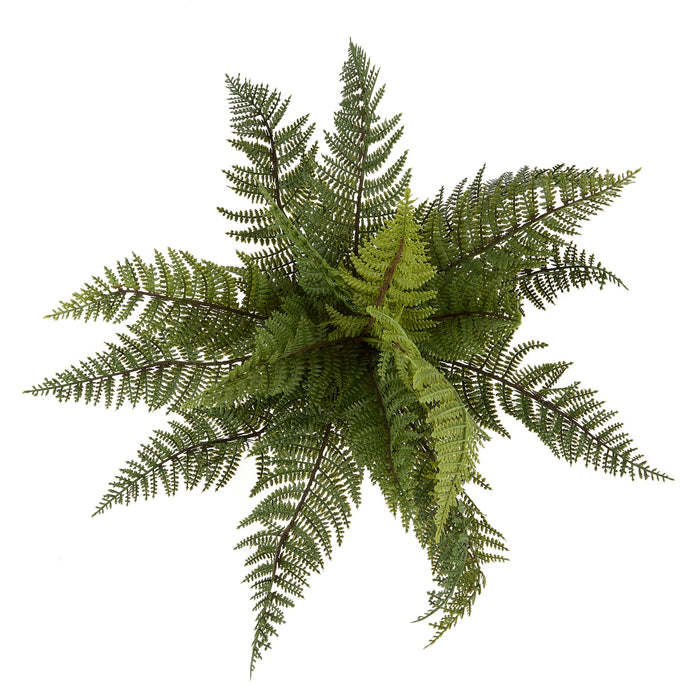 NSIMG-SHA256:abc0884af4440deb1516bb755d6ac77f826316318e03bab9063901fc9f443e62 · Isalbi Rogue Leatherleaf Fern Green
