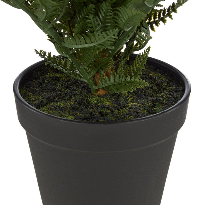 NSIMG-SHA256:cf9187a3e5b95c486e765df651dfa2534bb53ddb5c31b901ae9bf2f2905abaa4 · Isalbi Rogue Leatherleaf Fern Green