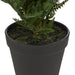 NSIMG-SHA256:cf9187a3e5b95c486e765df651dfa2534bb53ddb5c31b901ae9bf2f2905abaa4 · Isalbi Rogue Leatherleaf Fern Green