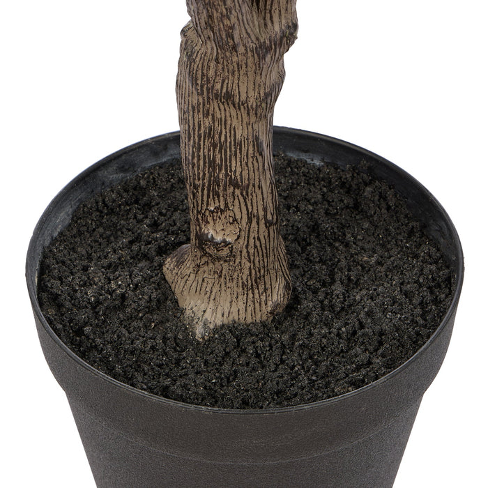 NSIMG-SHA256:0ba118e123166aa1029ce568916625f787bdcb0efdcbe07045704fcdb20986c5 · Isalbi Rogue Ginkgo Tree Green
