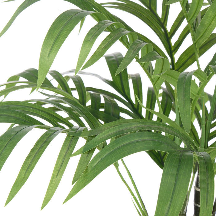 NSIMG-SHA256:3ff73d0abbc4cb97cd7a633b4381715bea21c2b59ca71175659bc3b8d26110c6 · Isalbi Rogue Cascade Palm Green