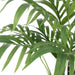 NSIMG-SHA256:3ff73d0abbc4cb97cd7a633b4381715bea21c2b59ca71175659bc3b8d26110c6 · Isalbi Rogue Cascade Palm Green