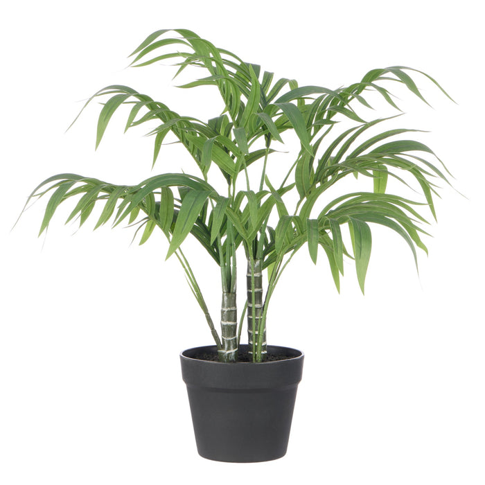NSIMG-SHA256:5aace9f57deedb6cc229b64555047900486369c8294daa66222f1b7521b4d2a4 · Isalbi Rogue Cascade Palm Green