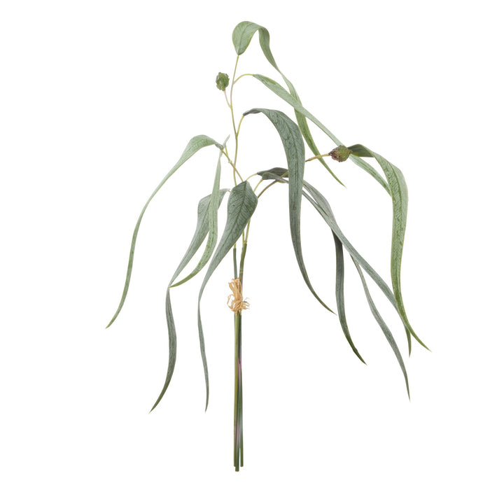 NSIMG-SHA256:ad93534f7caecae91df93885d8d97bb97a78ebd64e214d9e970e98f3c2b9672d · Isalbi Rogue Eucalyptus Gumnut Bunch Green
