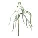 NSIMG-SHA256:ad93534f7caecae91df93885d8d97bb97a78ebd64e214d9e970e98f3c2b9672d · Isalbi Rogue Eucalyptus Gumnut Bunch Green