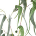 NSIMG-SHA256:36a42ef8779859311aab7f2853037e0e29c2fe57f0ea21b5d3f8f2c0e9faaa26 · Isalbi Rogue Eucalyptus Gumnut Bunch Green
