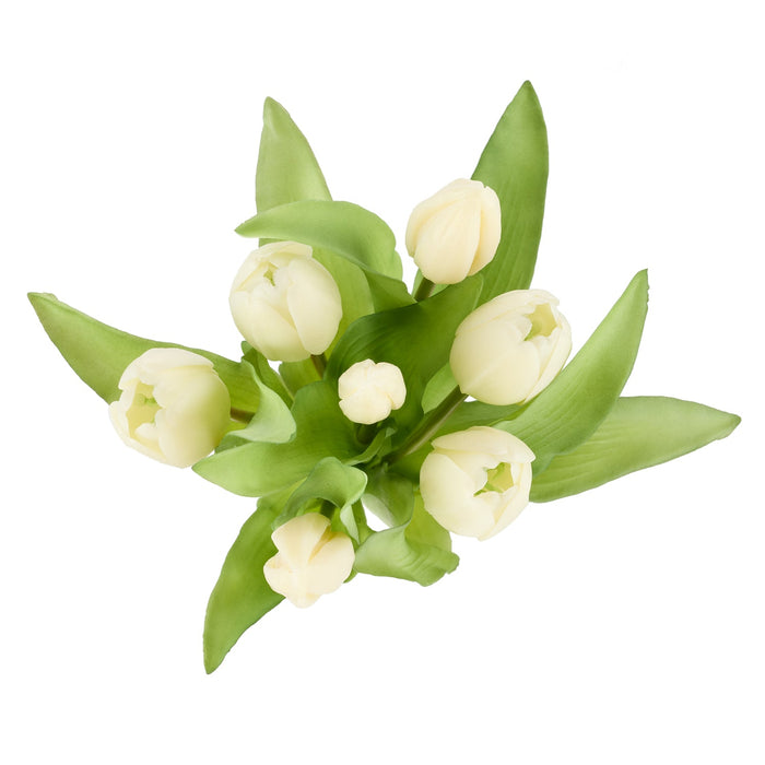 NSIMG-SHA256:798b09ed43182b0f7e8525700b76df6487261346fd31c41ce4a47e276e570fd9 · Isalbi Rogue Tulip Bunch White