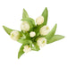 NSIMG-SHA256:798b09ed43182b0f7e8525700b76df6487261346fd31c41ce4a47e276e570fd9 · Isalbi Rogue Tulip Bunch White