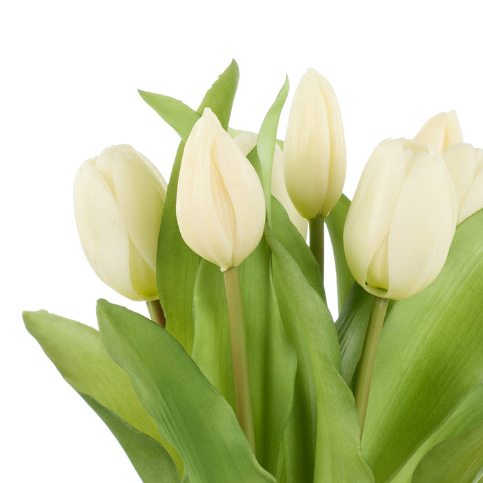 NSIMG-SHA256:dd638e23490def2810e7987b35e17feaa424853e0d8ee27b04f673ef143786ad · Isalbi Rogue Tulip Bunch White
