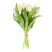 NSIMG-SHA256:695e5587e0c21ecd200e47f1066941c8baa560c611a7f10a6ffd667100b2fb17 · Isalbi Rogue Tulip Bunch White