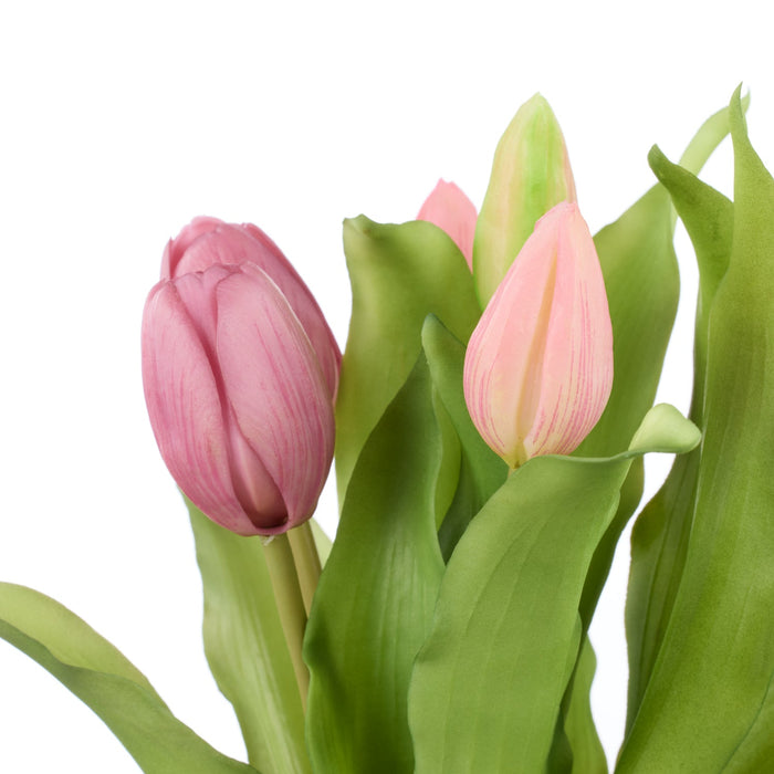 NSIMG-SHA256:5866fa29582c1fc07c13f60c57632a22ce7fec0b49b370837b380a1decc5ec6e · Isalbi Rogue Tulip Bunch Pink