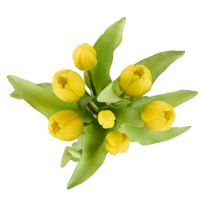 NSIMG-SHA256:b3386bcdad1642d1200e775d0e4dfe6a3a152f4b3683c3cefaa9b1979b73cb10 · Isalbi Rogue Tulip Bunch Yellow