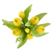 NSIMG-SHA256:b3386bcdad1642d1200e775d0e4dfe6a3a152f4b3683c3cefaa9b1979b73cb10 · Isalbi Rogue Tulip Bunch Yellow