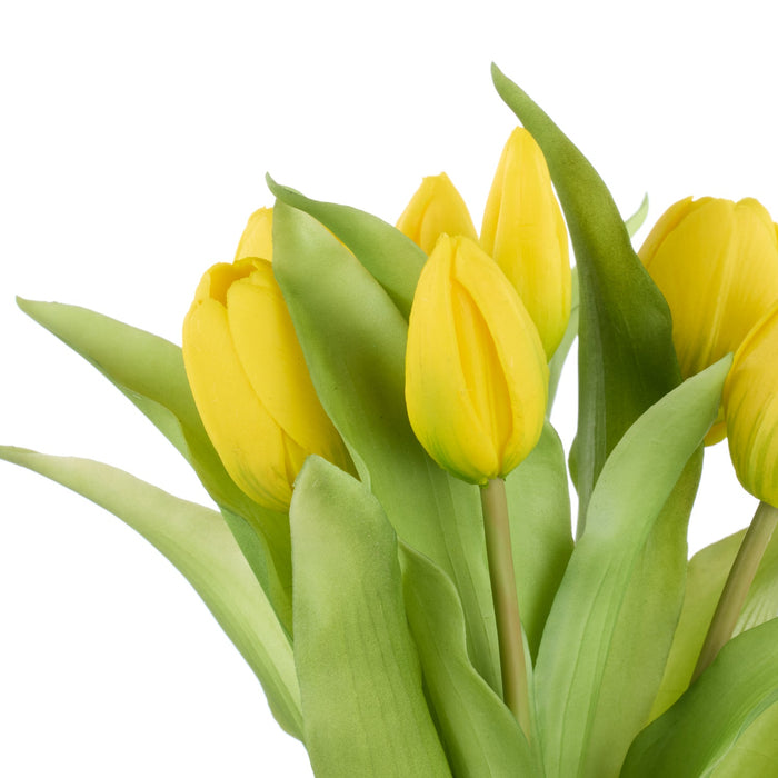 NSIMG-SHA256:11f79cd4c92bc6b6eae155ffb4c6cb48d99dd1900c45c7200bace43e918c5269 · Isalbi Rogue Tulip Bunch Yellow