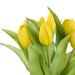 NSIMG-SHA256:11f79cd4c92bc6b6eae155ffb4c6cb48d99dd1900c45c7200bace43e918c5269 · Isalbi Rogue Tulip Bunch Yellow
