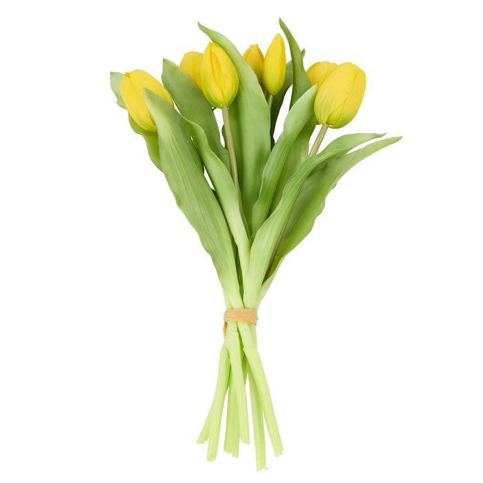 NSIMG-SHA256:25abe2905588db80a58243de66af9fd7404b3a1e2c34d06367caf2abe431616a · Isalbi Rogue Tulip Bunch Yellow