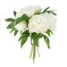 NSIMG-SHA256:afbeb4f51180e7d623837c04c330e421e37bc3f45722c85cb201026781fae4e1 · Isalbi Rogue Peony Mix Bouquet White