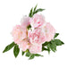 NSIMG-SHA256:52ca405faa526362db973a8dc743bb43ba3459176d823cc19793669b84326485 · Isalbi Rogue Peony Mix Bouquet Pink