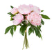 NSIMG-SHA256:f29c77d2364806632609ec5a9948cbcae2d2c4bc5a5d72a3be0c9f7bbe7644fa · Isalbi Rogue Peony Mix Bouquet Pink