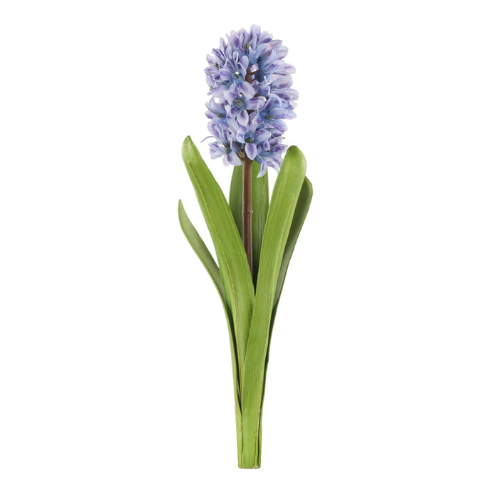 NSIMG-SHA256:8d7652e1d1d02ef8367cd6ae472b0e69b0033d2eadf47bf287ddc84ab7691567 · Isalbi Rogue Hyacinth with Leaves Stem Purple