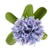 NSIMG-SHA256:16c821f51f014b468fa20683ae210a587e818d42410cacda907cf8212dad7640 · Isalbi Rogue Hyacinth with Leaves Stem Purple