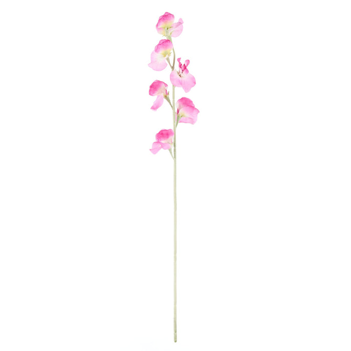NSIMG-SHA256:e53e0e450b501202e01f33e18c866a18bdcedcfa16e4287c3fc91efd00aad839 · Isalbi Rogue Sweet Pea Spray Purple