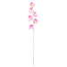 NSIMG-SHA256:e53e0e450b501202e01f33e18c866a18bdcedcfa16e4287c3fc91efd00aad839 · Isalbi Rogue Sweet Pea Spray Purple