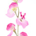 NSIMG-SHA256:1004cd7ccdca32266fcd642e80fb67345e4b7ccbec70280694770586f064acfa · Isalbi Rogue Sweet Pea Spray Purple