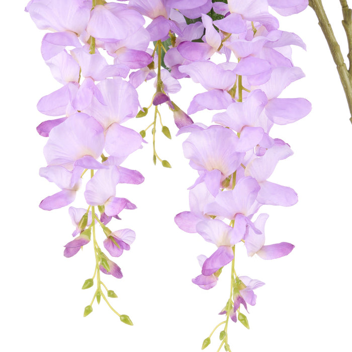 NSIMG-SHA256:b6268577dee705e1f29527224b149b62fbed6291edb04cc9103e434f5d4bc708 · Isalbi Rogue Wisteria Spray Lilac