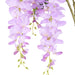 NSIMG-SHA256:b6268577dee705e1f29527224b149b62fbed6291edb04cc9103e434f5d4bc708 · Isalbi Rogue Wisteria Spray Lilac
