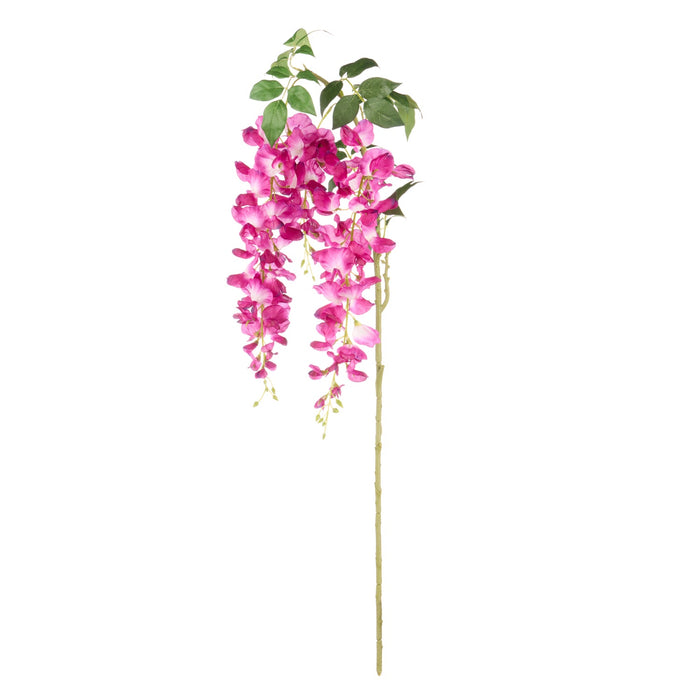 NSIMG-SHA256:2c8de77aaf0f13c9f4837ea4436a197cc6cf9b41675bc3f8516ecb548e5c6fb6 · Isalbi Rogue Wisteria Spray Dark Purple