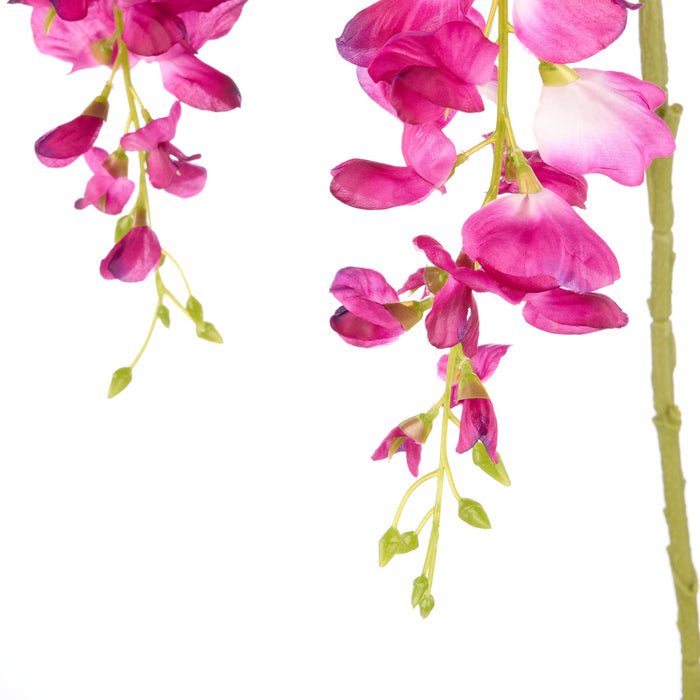 NSIMG-SHA256:037a2dce968c81a98858808fed4042589dca6a01484fe2b2b3ca63fcd0862d68 · Isalbi Rogue Wisteria Spray Dark Purple