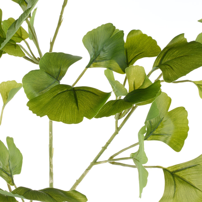 NSIMG-SHA256:6deb2790a8cb7c4bfdddbc59be731e5201f0a1fadedbbaf8ec68e3e24196f68d · Isalbi Rogue Ginkgo Spray Green